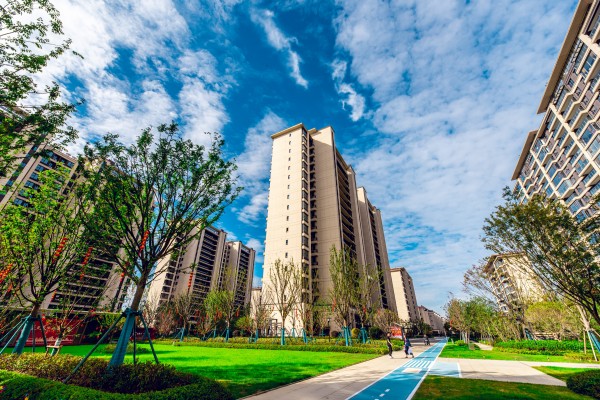 1699850782526661.jpg 天奕云著2.jpg